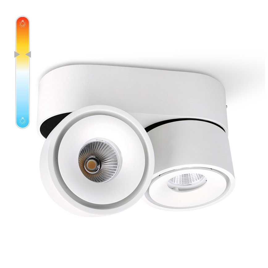 Foco LED com regulação LAHTI MINI 2xLED/9W/230V 3000K CRI 90 branco