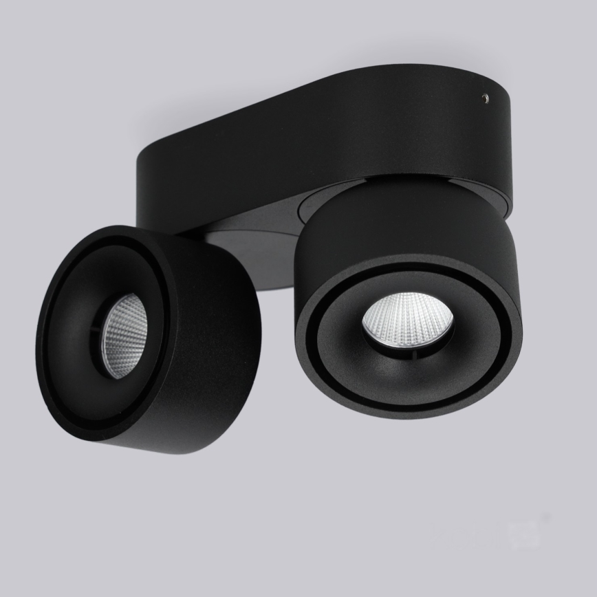 Foco LED com regulação LAHTI MINI 2xLED/9W/230V 3000K CRI 90 preto