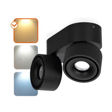 Foco LED com regulação LAHTI MINI 2xLED/9W/230V 3000K CRI 90 preto