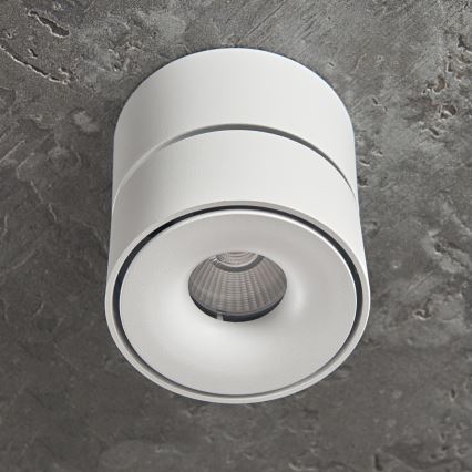 Foco LED com regulação LAHTI MINI LED/9W/230V 3000K CRI 90 branco