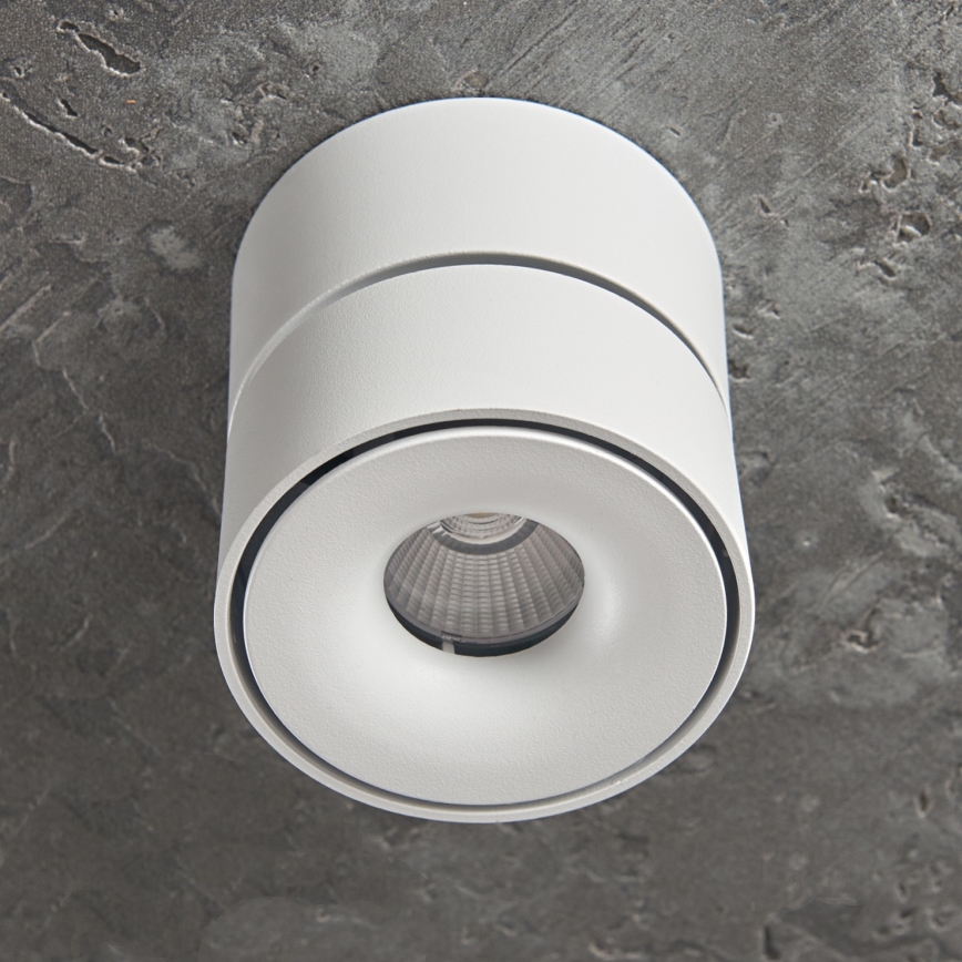 Foco LED com regulação LAHTI MINI LED/9W/230V 3000K CRI 90 branco