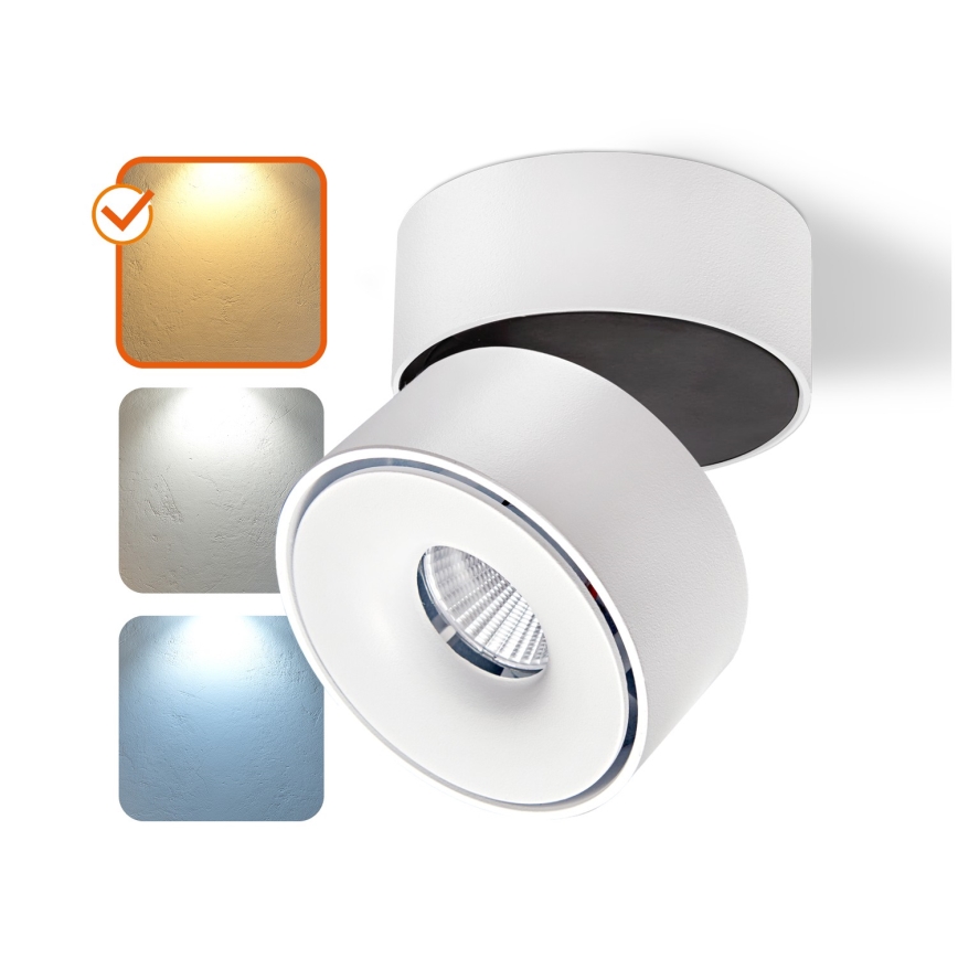 Foco LED com regulação LAHTI MINI LED/9W/230V 3000K CRI 90 branco
