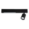Foco LED MAGNET LED/5W/230V + 1xGU10/60W 3000/4000K preto