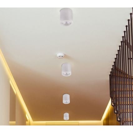 Foco LED TUBA 1xGU10/5W/230V 2700K branco