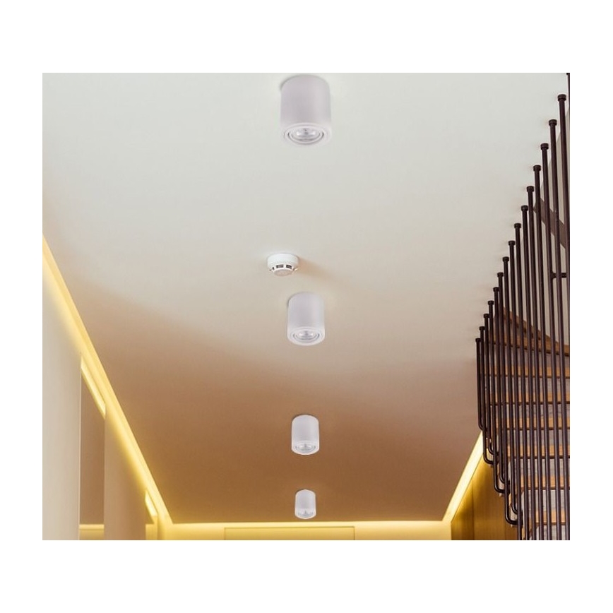 Foco LED TUBA 1xGU10/5W/230V 2700K branco