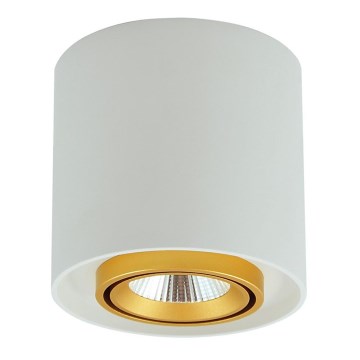 Foco LED XENO LED/15W/230V branco 1200lm