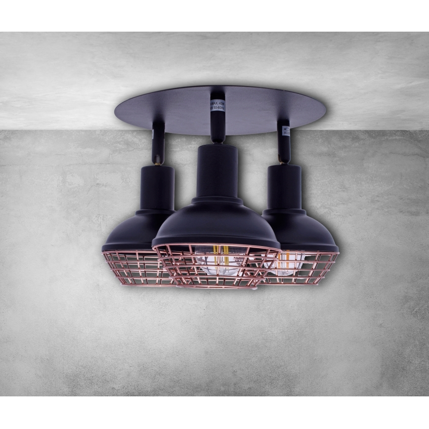 Foco LOGAN 3xE14/40W/230V