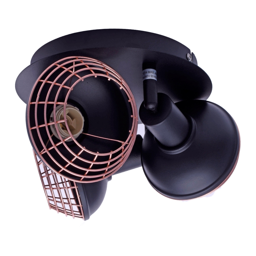 Foco LOGAN 3xE14/40W/230V