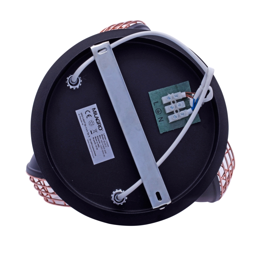 Foco LOGAN 3xE14/40W/230V