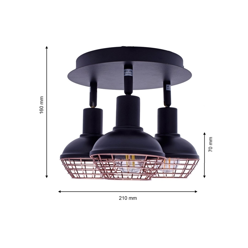 Foco LOGAN 3xE14/40W/230V