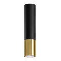 Foco LOOPEZ 1xGU10/10W/230V preto/dourado