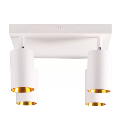 Foco MARIBEL 4xGU10/10W/230V branco