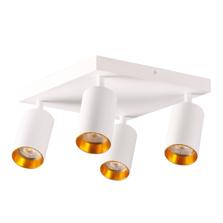 Foco MARIBEL 4xGU10/10W/230V branco