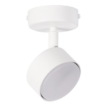 Foco NEMO 1xGX53/12W/230V branco