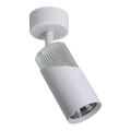 Foco NEO 1xGU10/8W/230V branco