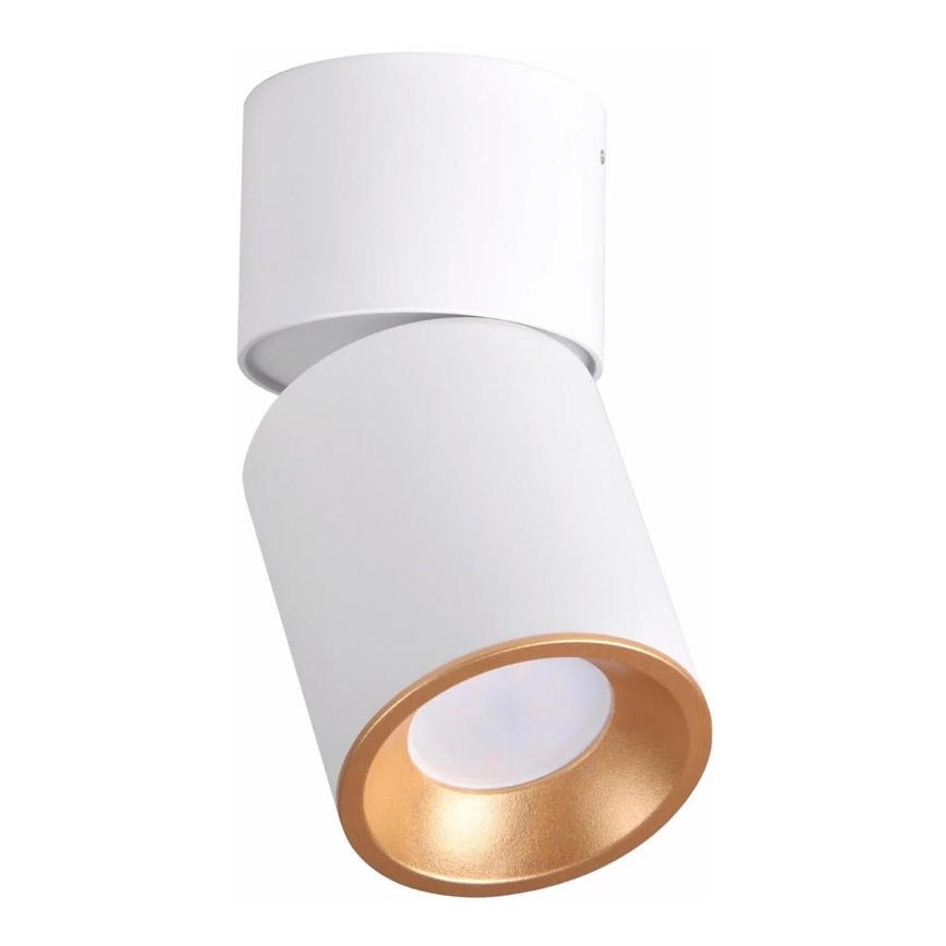 Foco NIXA 1xGU10/10W/230V branco/dourado