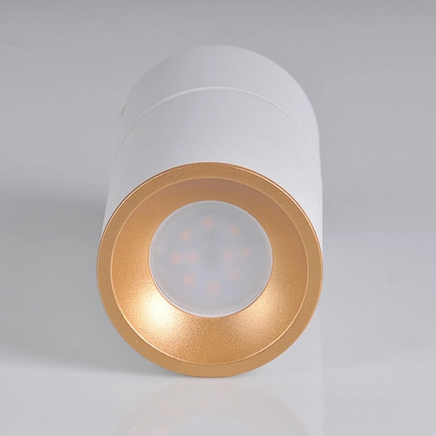 Foco NIXA 1xGU10/10W/230V branco/dourado