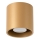 Foco ORBIS 1xGU10/10W/230V dourado