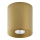 Foco ORION 1xGU10/10W/230V dourado