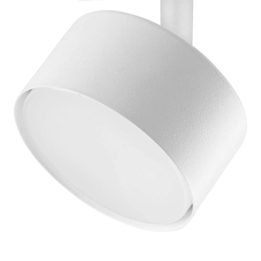 Foco para sistema de carris monofásico AVIA 1xGX53/15W/230V branco