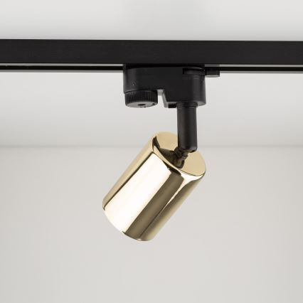 Foco para sistema de carril TOP 1xGU10/10W/230V dourado/preto