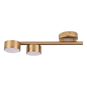 Foco PUNTO 2xGX53/12W/230V dourado