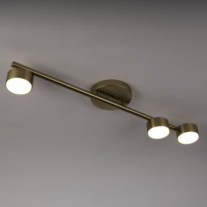 Foco PUNTO 3xGX53/12W/230V dourado