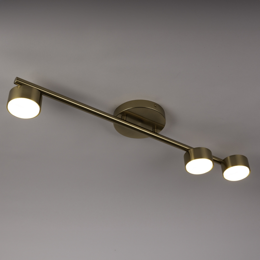 Foco PUNTO 3xGX53/12W/230V dourado