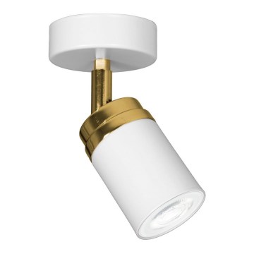 Foco RENO 1xGU10/8W/230V branco/dourada