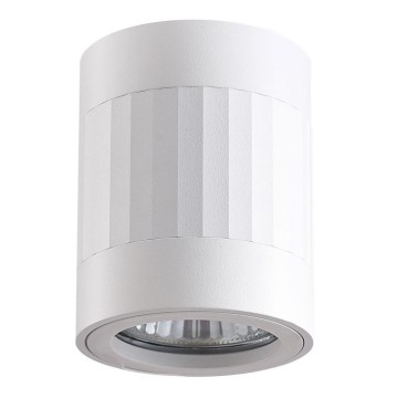 Foco RUBIN 1xGU10/10W/230V branco