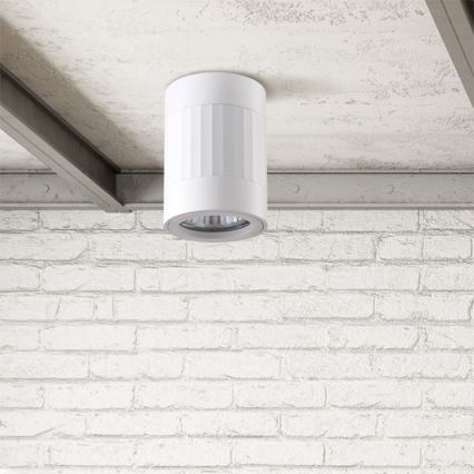 Foco RUBIN 1xGU10/10W/230V branco