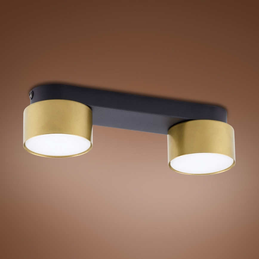 Foco SPACE GOLD 2xGX53/15W/230V