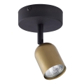 Foco TOP 1xGU10/10W/230V dourado/preto