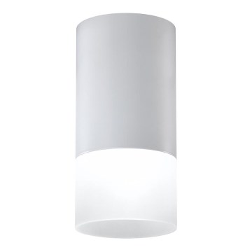 Foco TUBA 1xGU10/15W/230V cinzento/branco