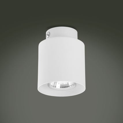 Foco VICO WHITE 1xGU10/10W/230V