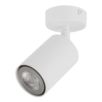 Foco ZOOM 1xGU10/25W/230V branco