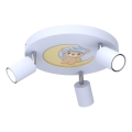 Focos de luz para crianças FUN 3xGU10/8W/230V azul/urso pequeno