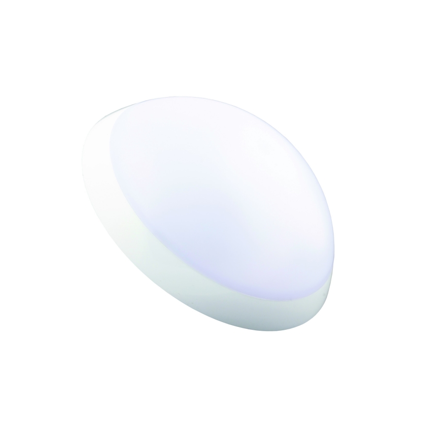Fulgur 20994 - Iluminação de teto técnica ROMANA 1xE27/100W/230V IP64