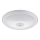 Fulgur 24120 - Luz de teto com sensor LED DARINA LED/12W/230V