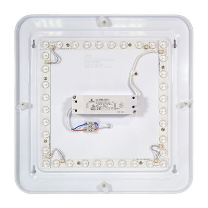Fulgur 24313 - Luz de teto LED PAVLA STARS LED/36W/230V 2700K