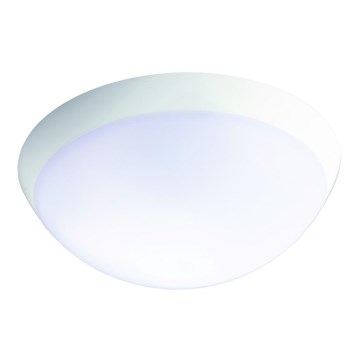 Fulgur 26233 - Iluminação industrial de emergência LED com sensor ROMANA LED/20W/230V IP64