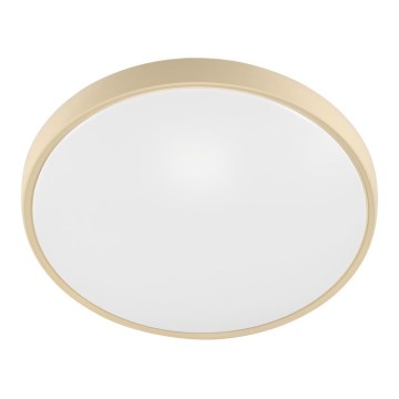 Fulgur 27480 - Armação com difusor para luz VERA 420 GOLD