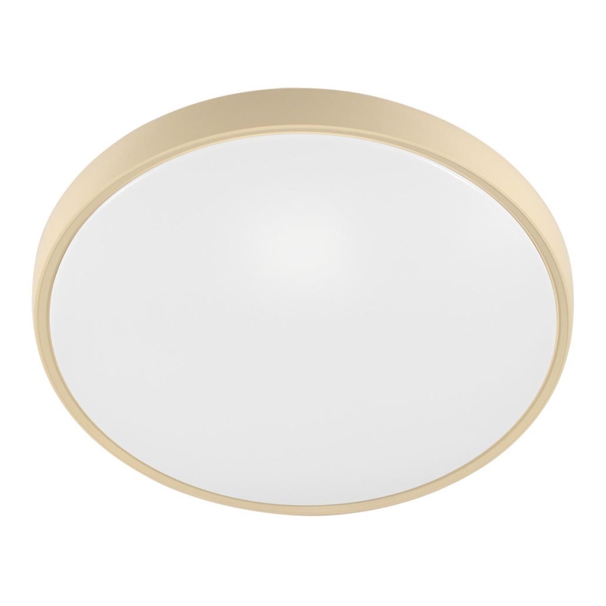 Fulgur 27480 - Armação com difusor para luz VERA 420 GOLD