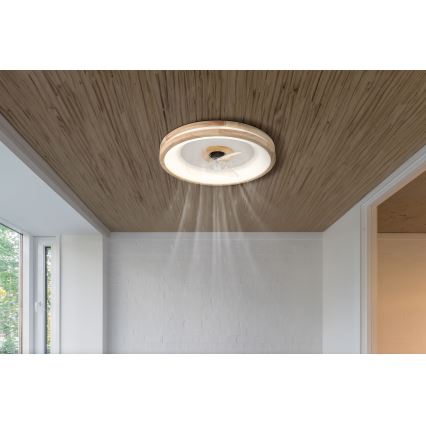 Globo -  Iluminação de teto LED com regulação e ventoinha LED/30W/230V 2700-6500K castanho + comando