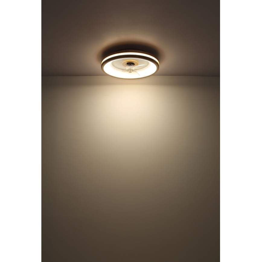 Globo -  Iluminação de teto LED com regulação e ventoinha LED/30W/230V 2700-6500K castanho + comando