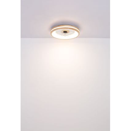 Globo -  Iluminação de teto LED com regulação e ventoinha LED/30W/230V 2700-6500K castanho + comando