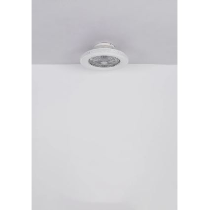 Globo - Ventoinha de teto LED com regulação LED/40W/230V 3000-6500K + comando