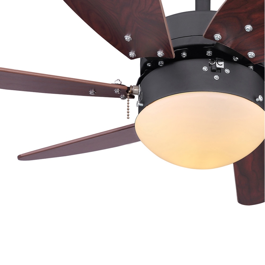 Globo - Ventoinha de teto 1xE14/60W/230V