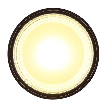 Globo - Iluminação de teto LED LED/12W/230V 3000K
