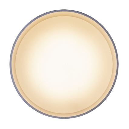Globo - Luz de teto LED LED/8W/230V + LED/4W/230V